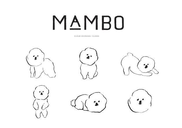 MAMBO (3).jpg